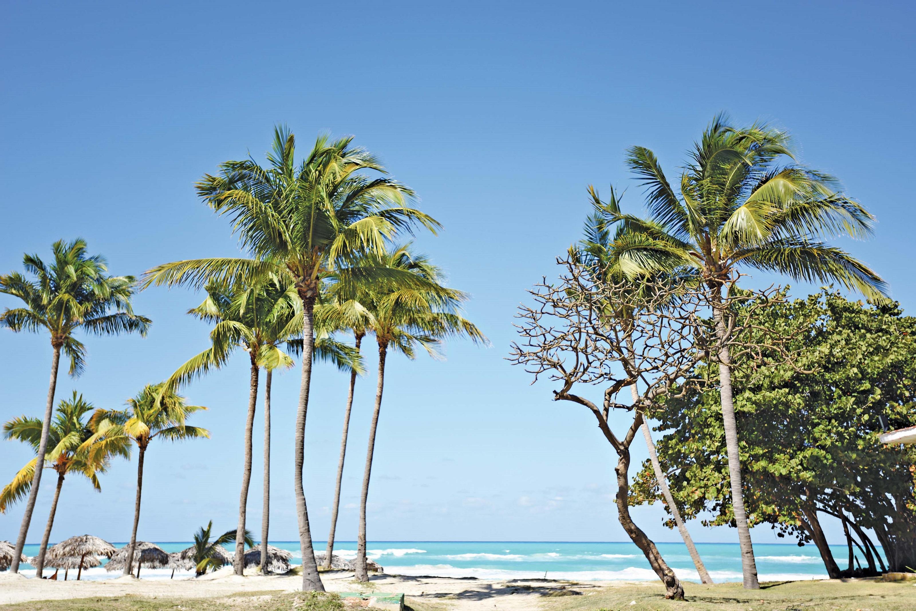 Starfish Cuatro Palmas (Adults Only) Hotel Varadero Exterior photo